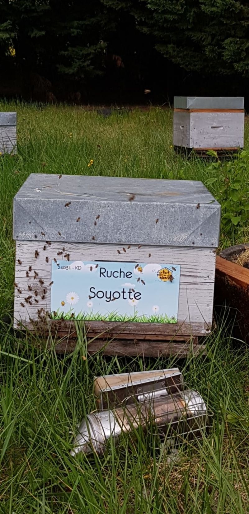 La ruche Soyotte