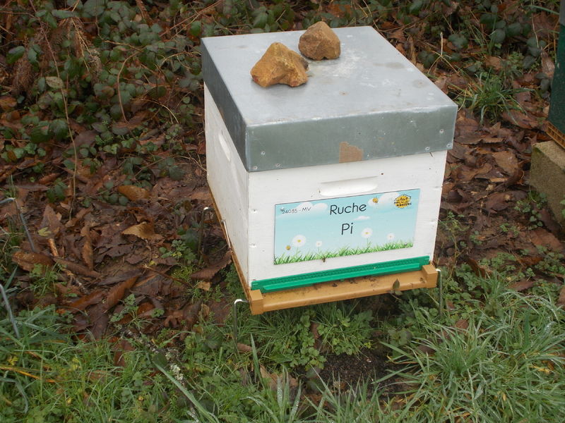 La ruche Pi