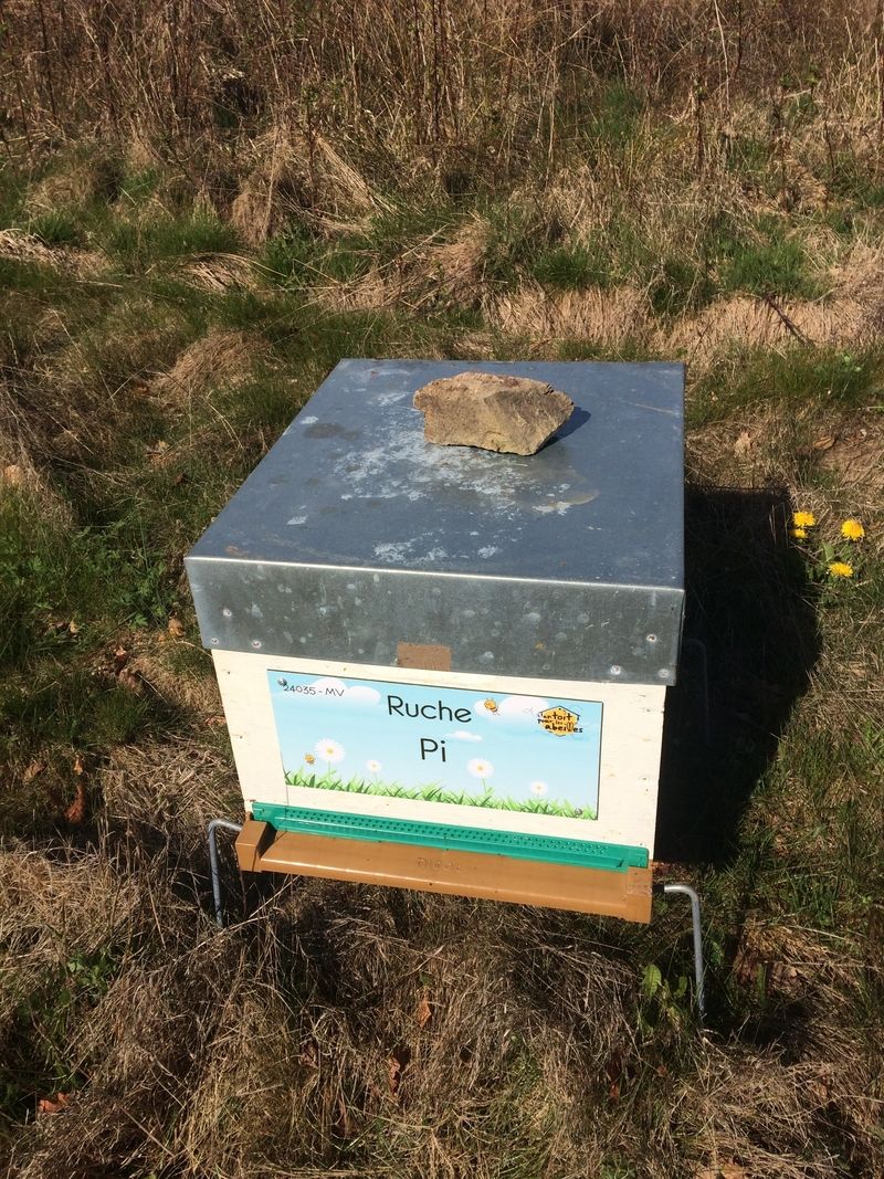 La ruche Pi