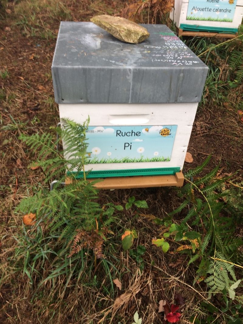 La ruche Pi