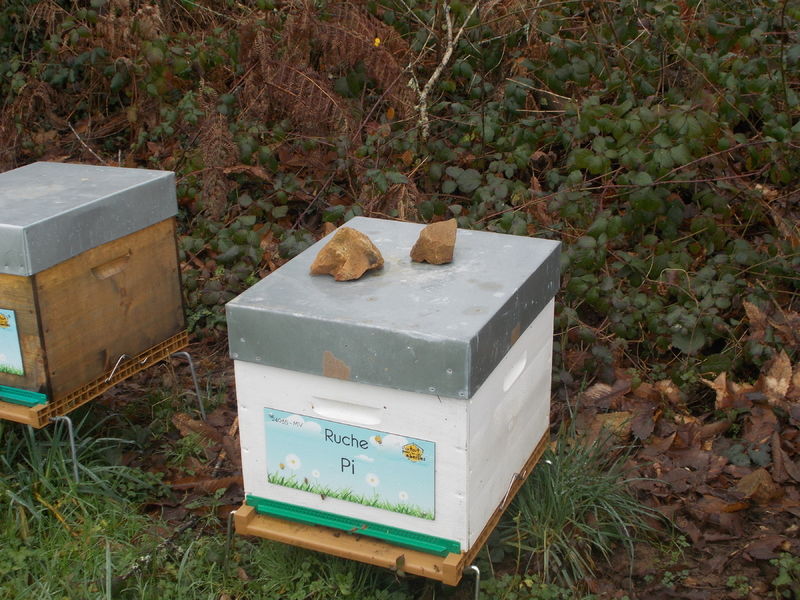 La ruche Pi