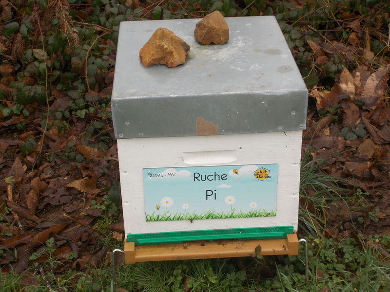 La ruche Pi