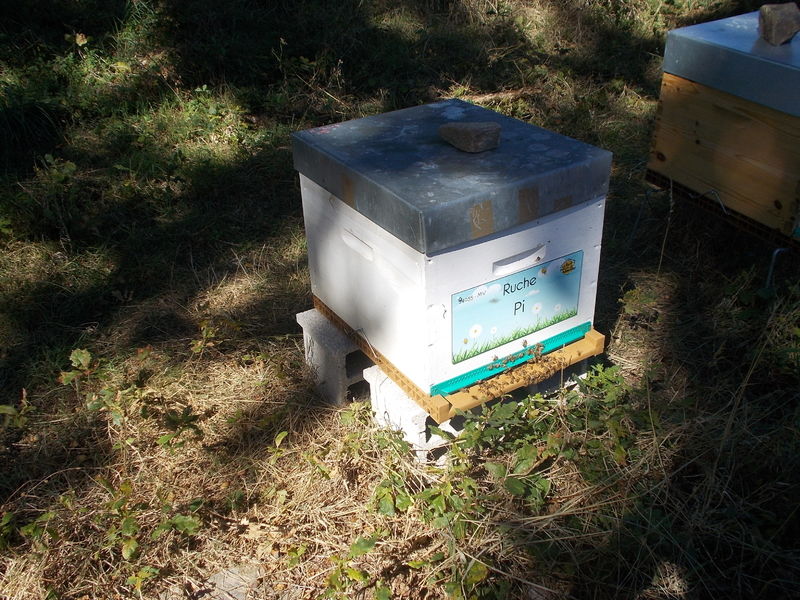 La ruche Pi
