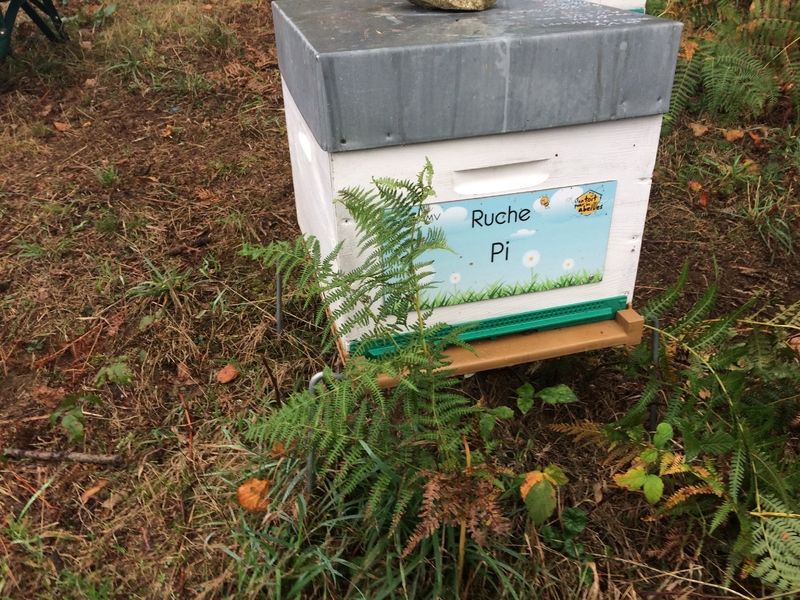 La ruche Pi