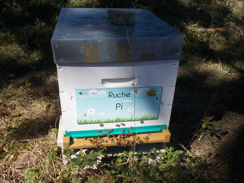 La ruche Pi