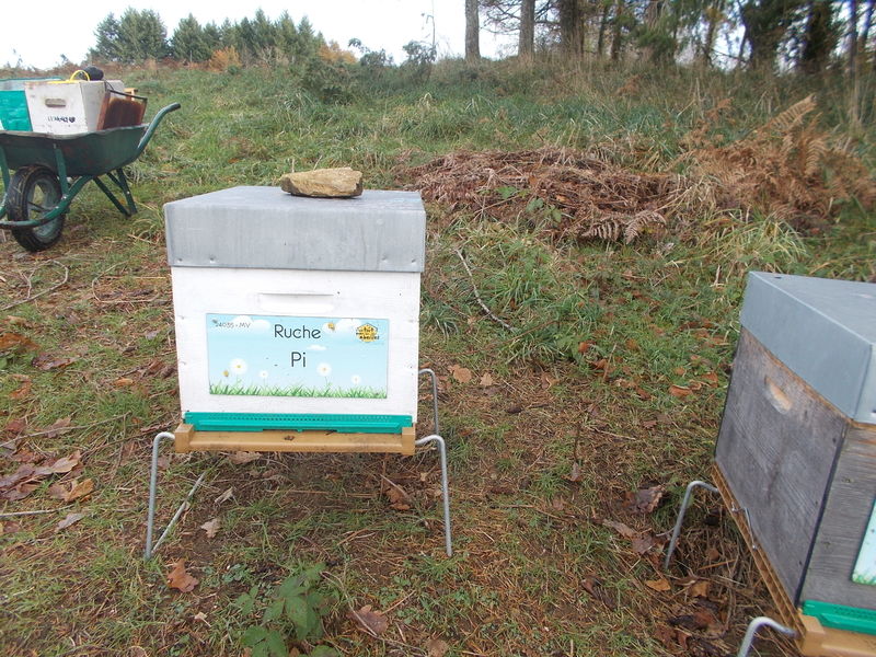 La ruche Pi