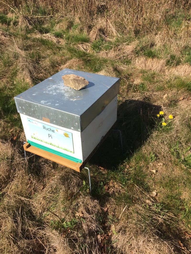 La ruche Pi