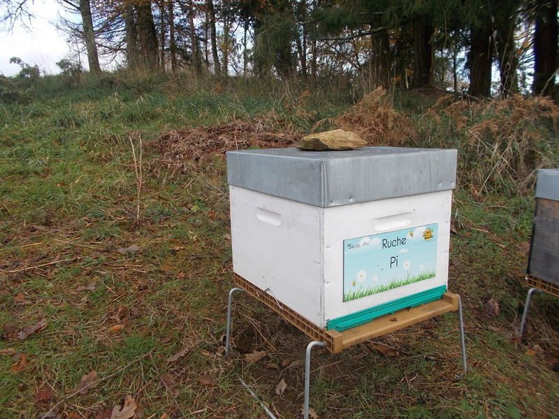 La ruche Pi