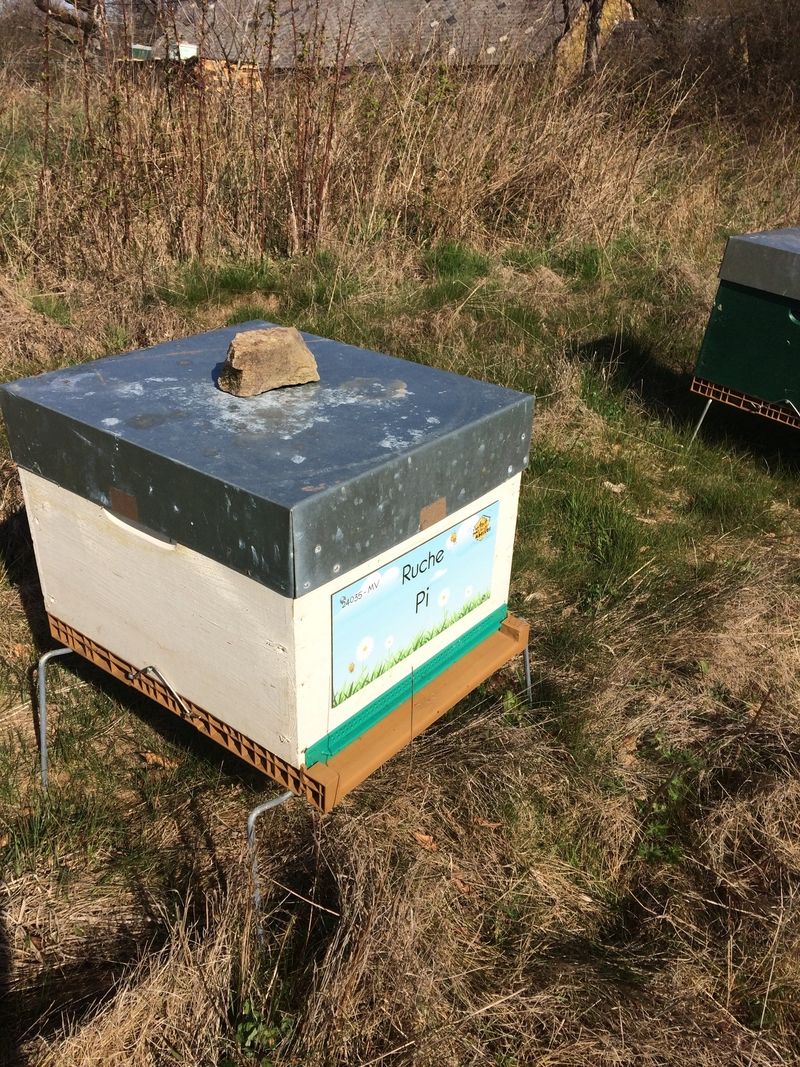 La ruche Pi