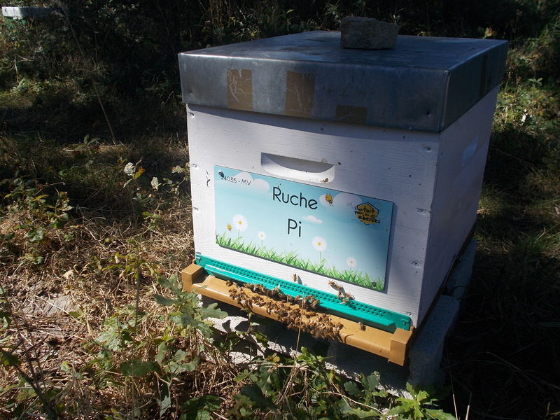 La ruche Pi