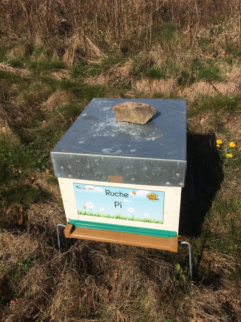 La ruche Pi