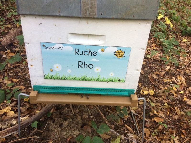 La ruche Rho
