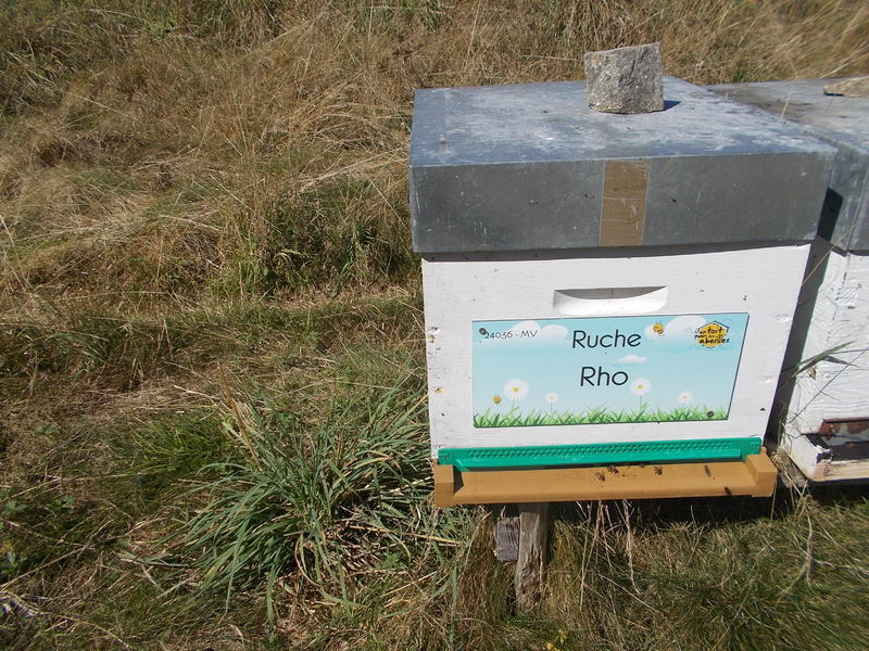 La ruche Rho