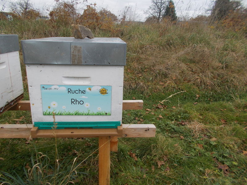 La ruche Rho