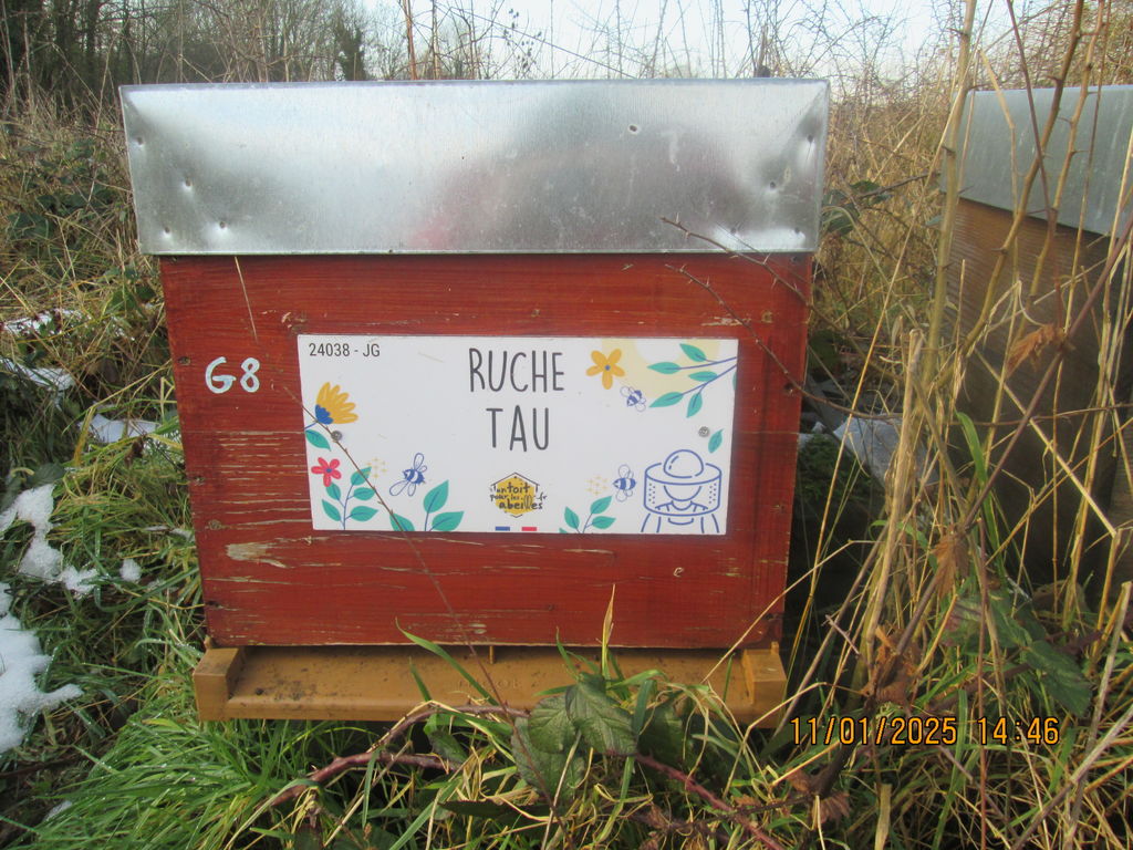 La ruche Tau