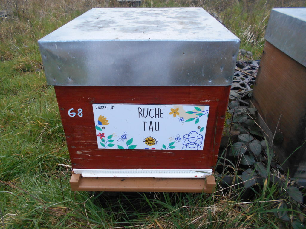 La ruche Tau