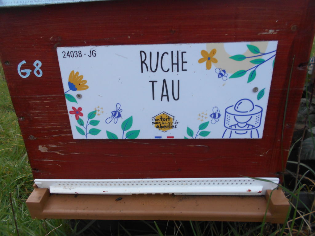 La ruche Tau
