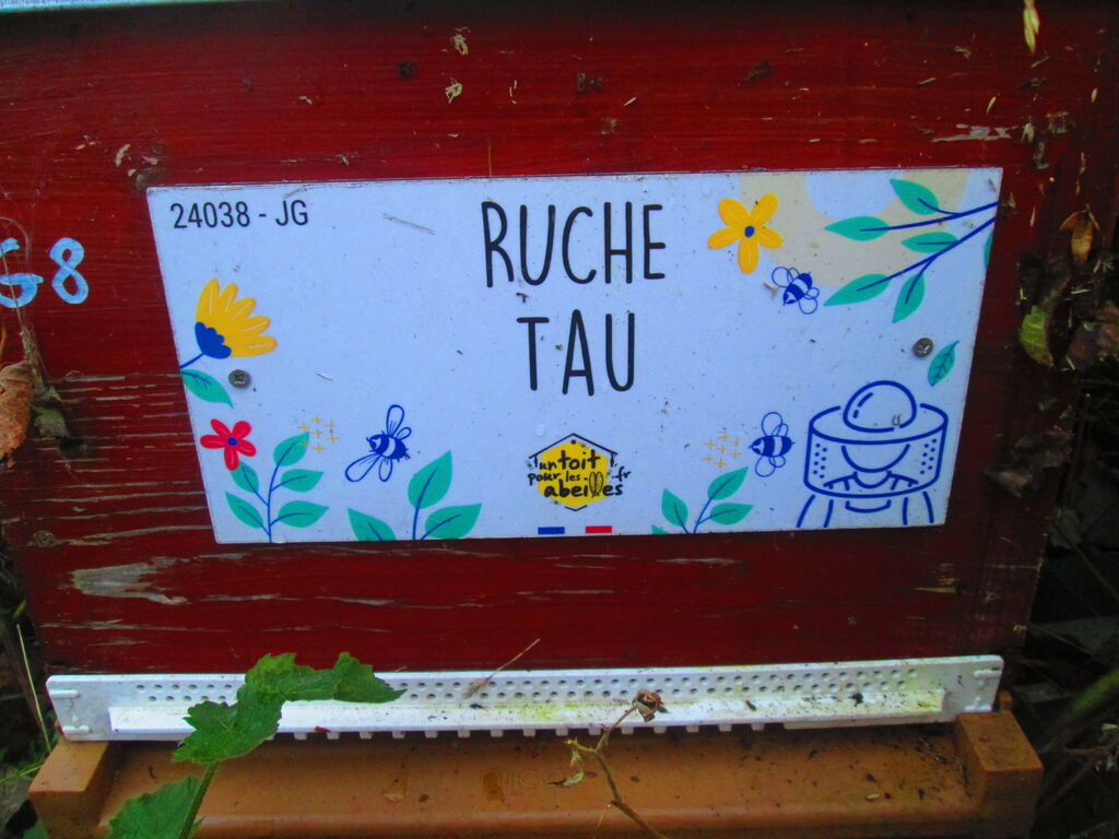 La ruche Tau