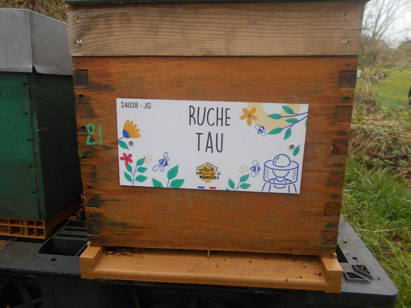 La ruche Tau