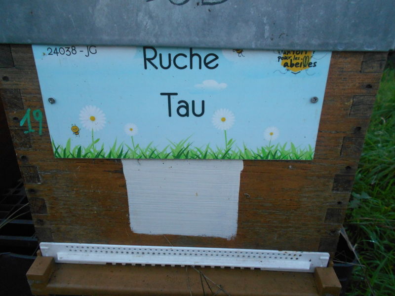 La ruche Tau