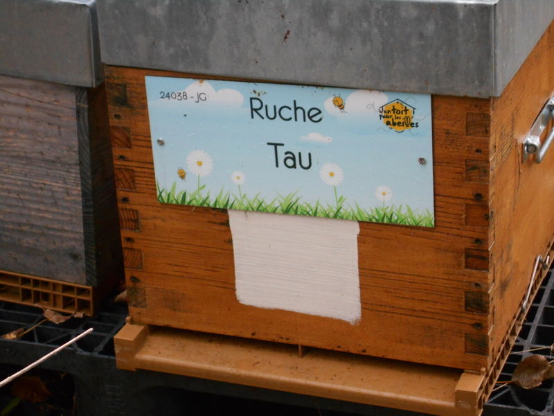 La ruche Tau