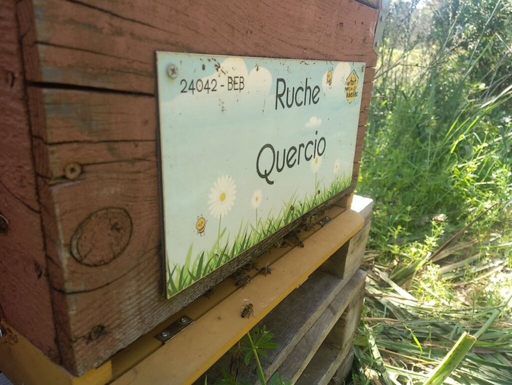 La ruche Quercio