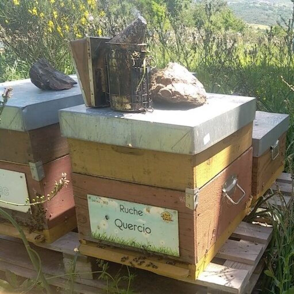La ruche Quercio
