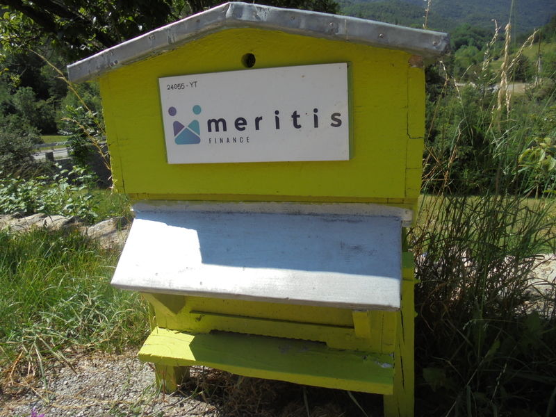 La ruche Meritis