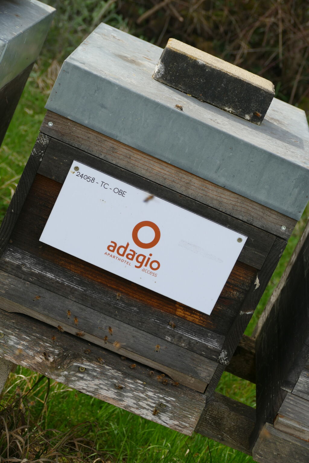 La ruche Adagio access saint louis bâle