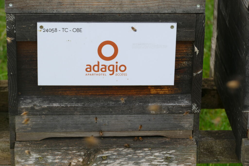 La ruche Adagio access saint louis bâle