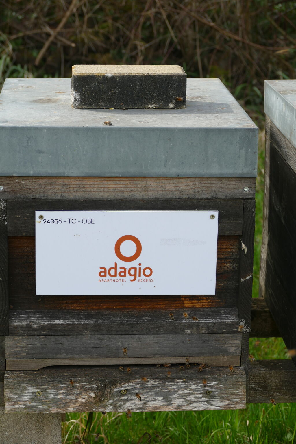 La ruche Adagio access saint louis bâle