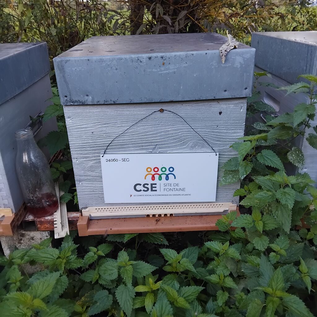La ruche CSE CICE FONTAINE (GROUPE ATLANTIC)