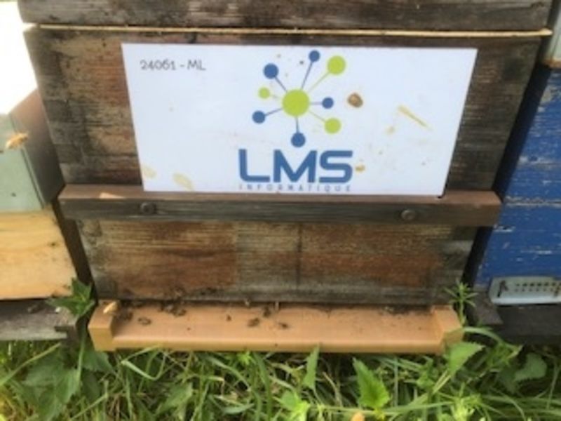 La ruche LMS Informatique