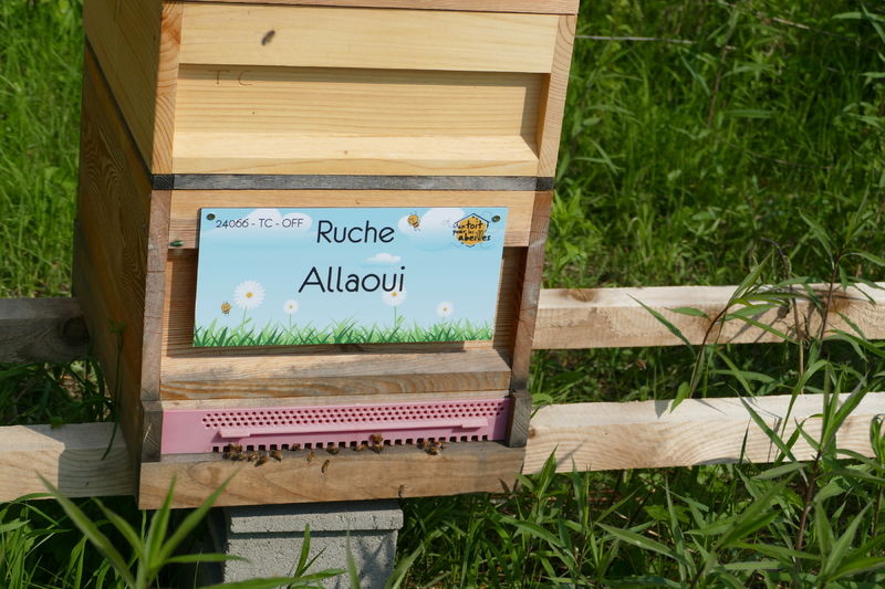 La ruche
