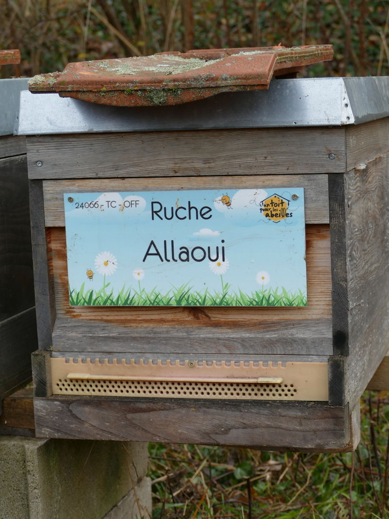 La ruche Allaoui