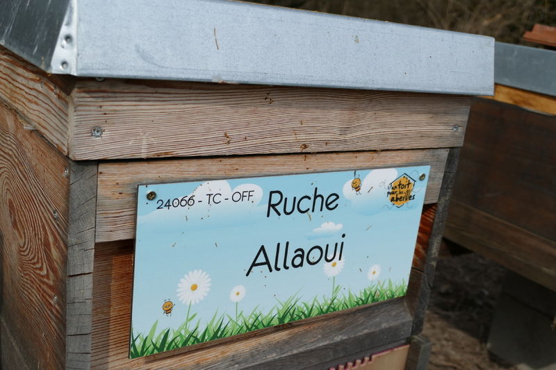 La ruche Allaoui