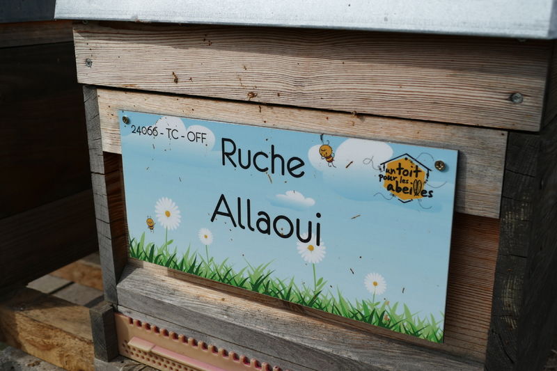 La ruche Allaoui