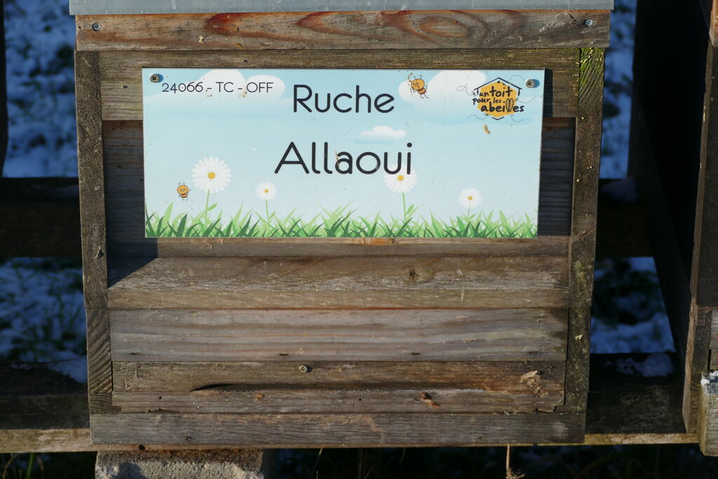 La ruche Allaoui