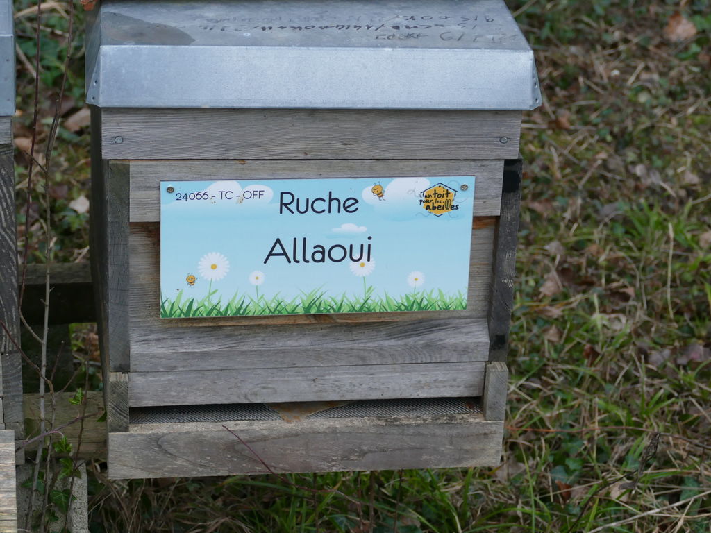La ruche Allaoui