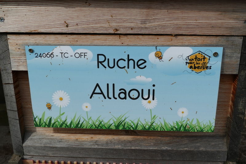 La ruche Allaoui