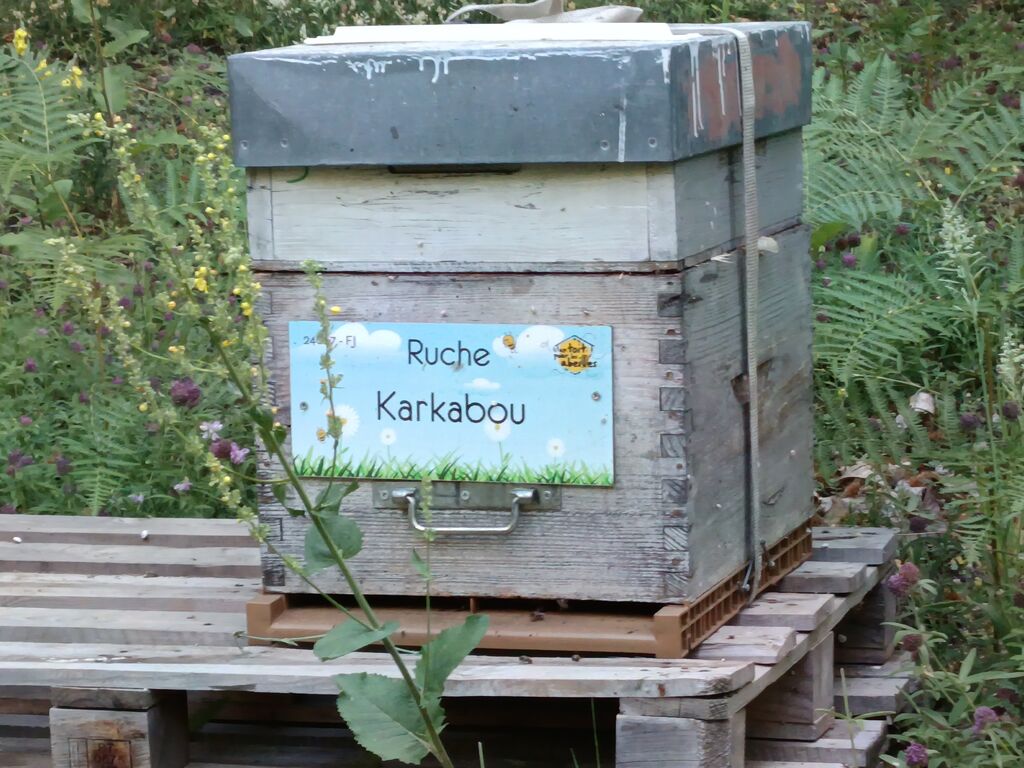 La ruche Karkabou