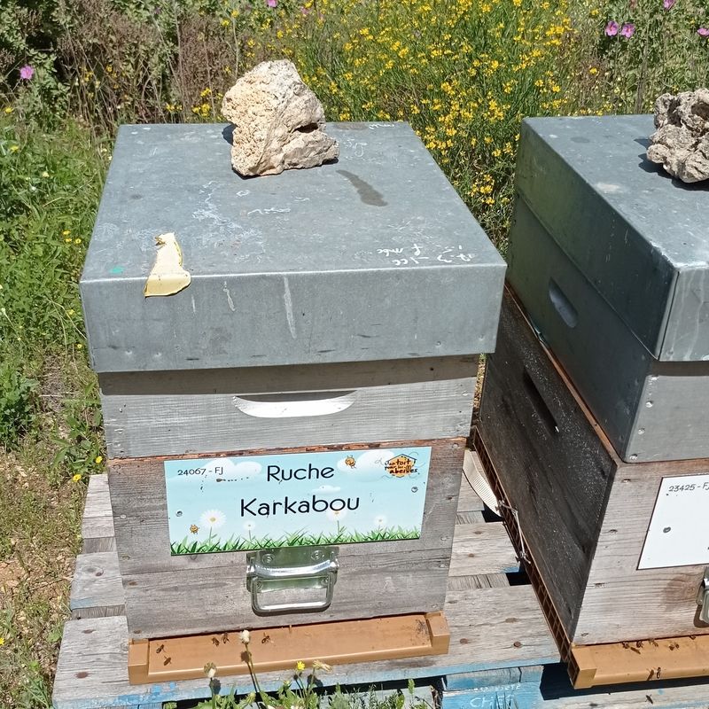 La ruche Karkabou