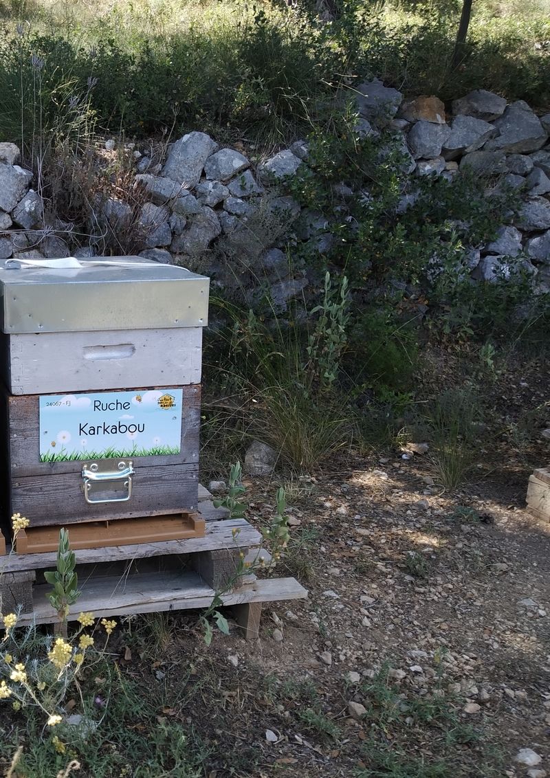 La ruche Karkabou