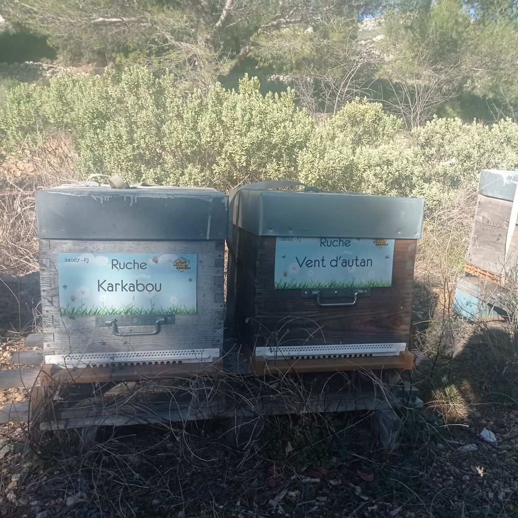 La ruche Karkabou