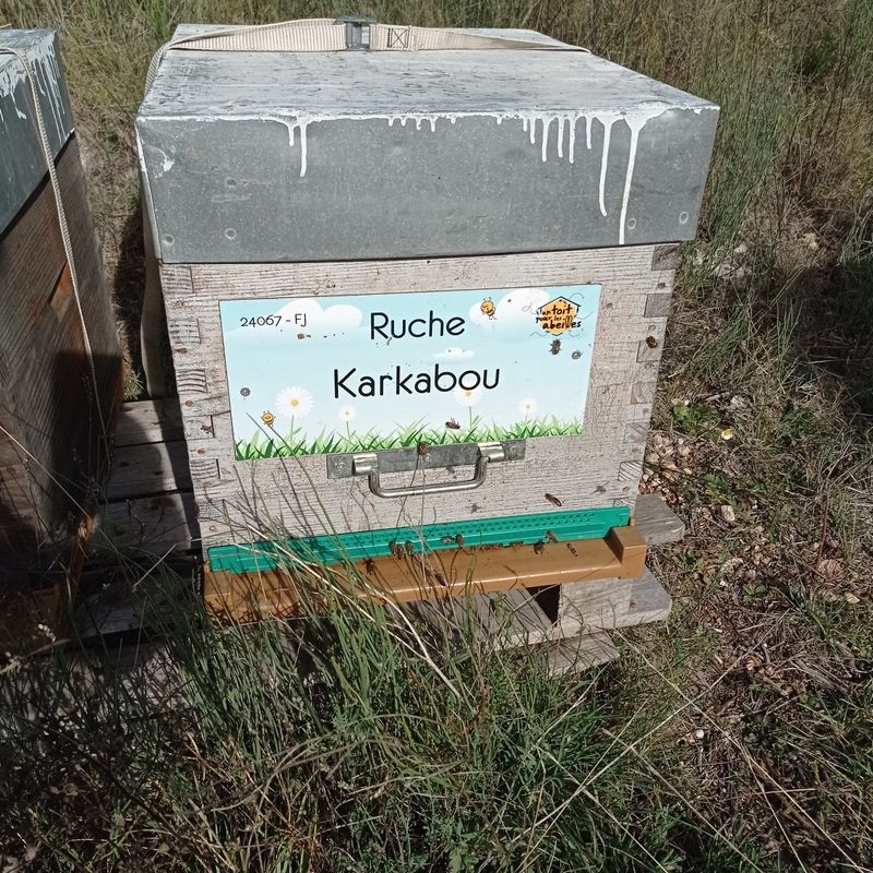 La ruche Karkabou