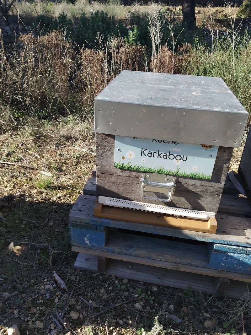 La ruche Karkabou