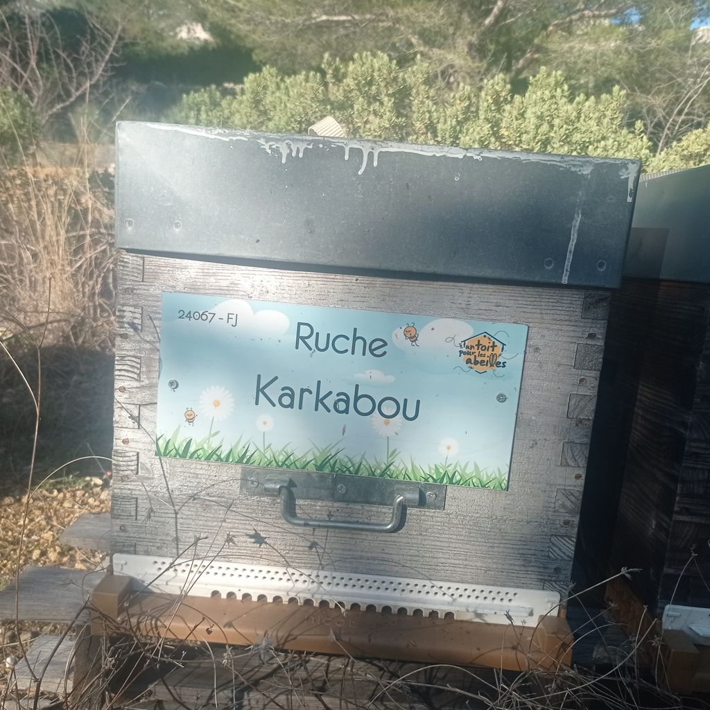 La ruche Karkabou