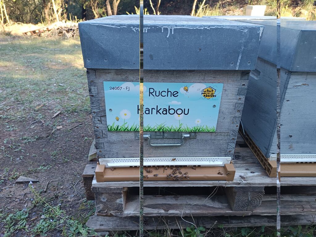 La ruche Karkabou