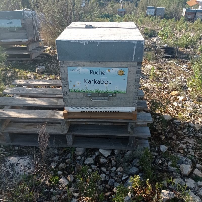 La ruche Karkabou