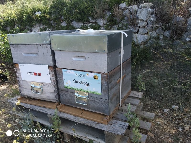 La ruche Karkabou